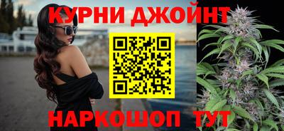 Альфа ПВП Моздок