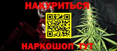 Альфа ПВП Моздок